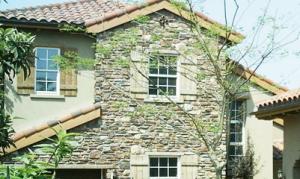 洛陽大唐文化石-源于自然，高于自然